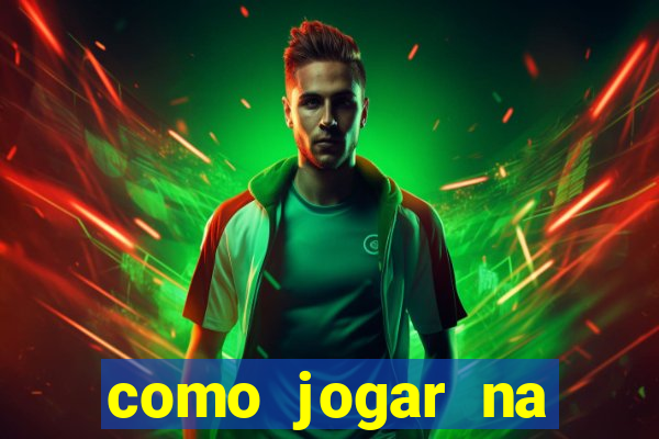 como jogar na lotinha do jogo do bicho