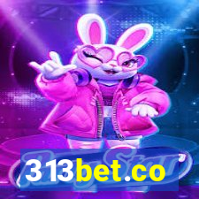 313bet.co