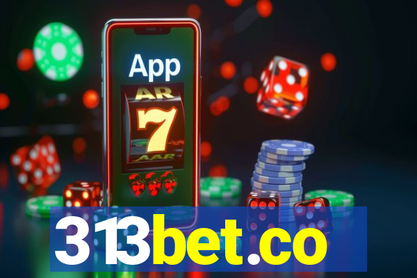 313bet.co