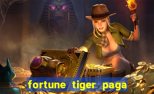 fortune tiger paga de madrugada