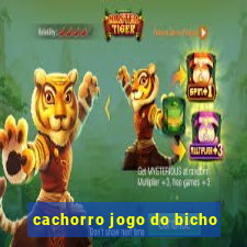 cachorro jogo do bicho