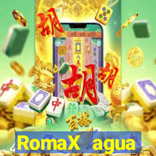 RomaX agua sanitaria fispq agua sanitaria romax