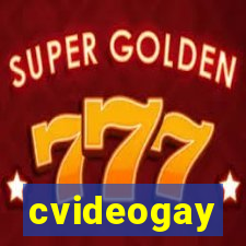 cvideogay