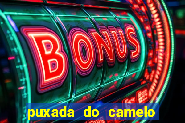 puxada do camelo no jogo do bicho