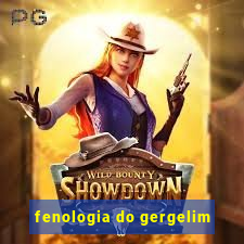 fenologia do gergelim