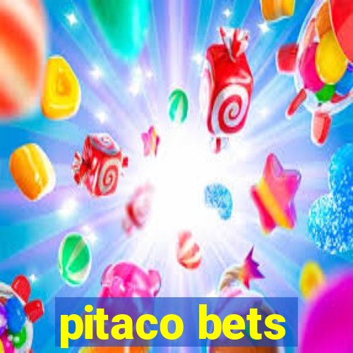 pitaco bets