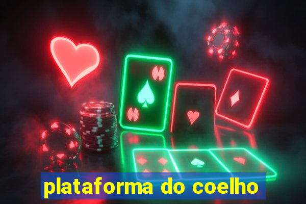 plataforma do coelho