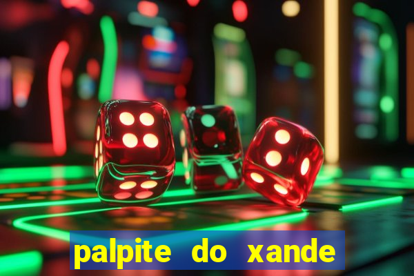 palpite do xande de hoje