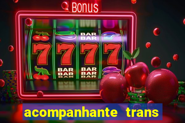 acompanhante trans baixada fluminense