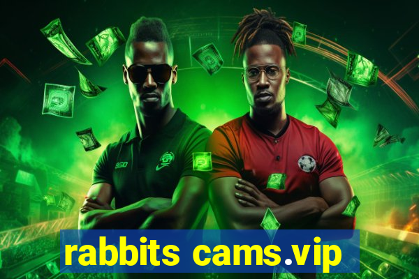 rabbits cams.vip