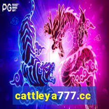 cattleya777.cc